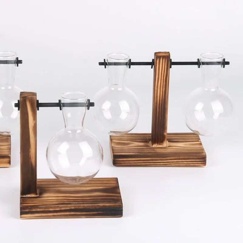 Terrário Hidropônico Elegance Decorelle