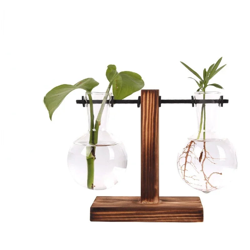 Terrário Hidropônico Elegance Decorelle