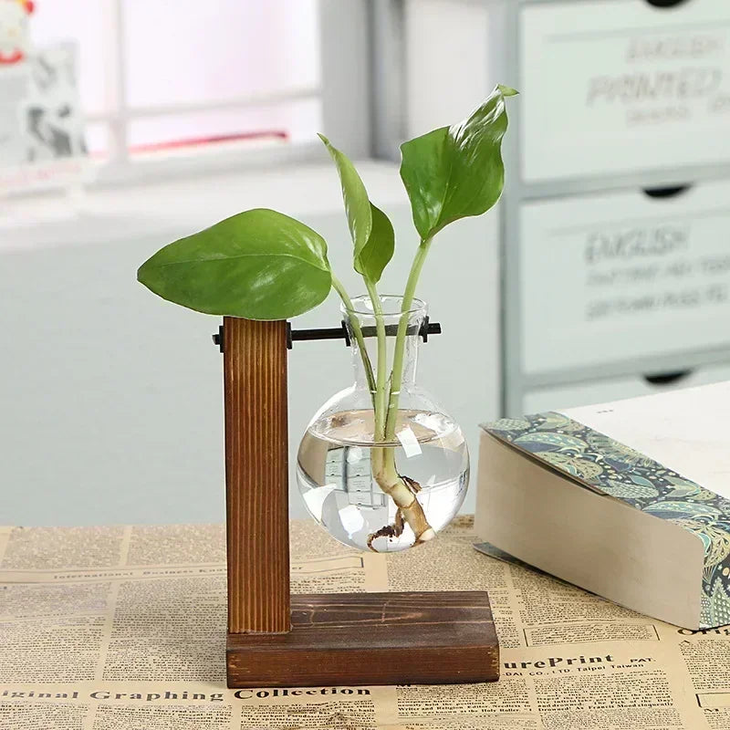 Terrário Hidropônico Elegance Decorelle