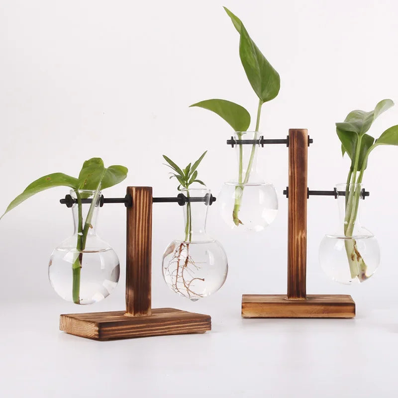Terrário Hidropônico Elegance Decorelle