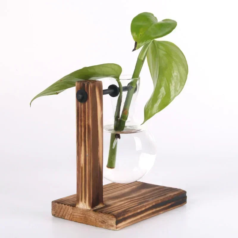 Terrário Hidropônico Elegance Decorelle