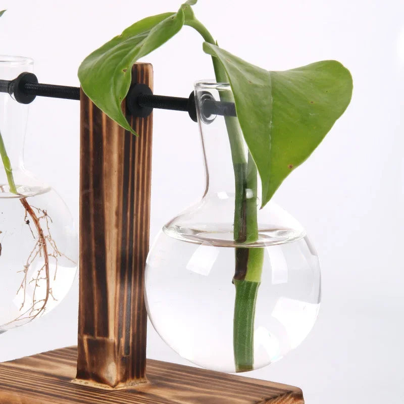 Terrário Hidropônico Elegance Decorelle