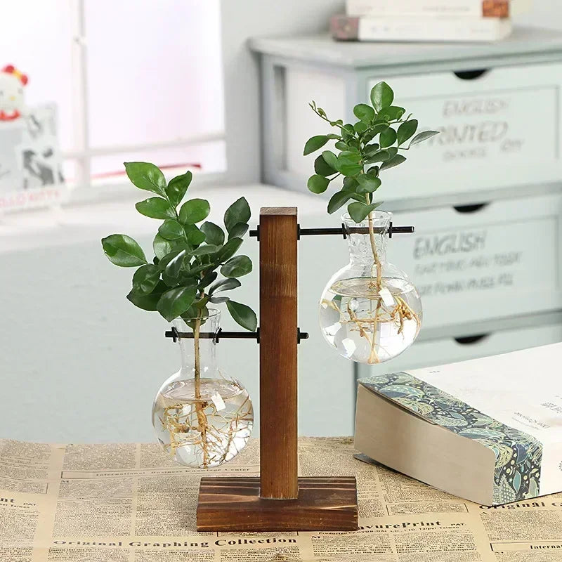 Terrário Hidropônico Elegance Decorelle