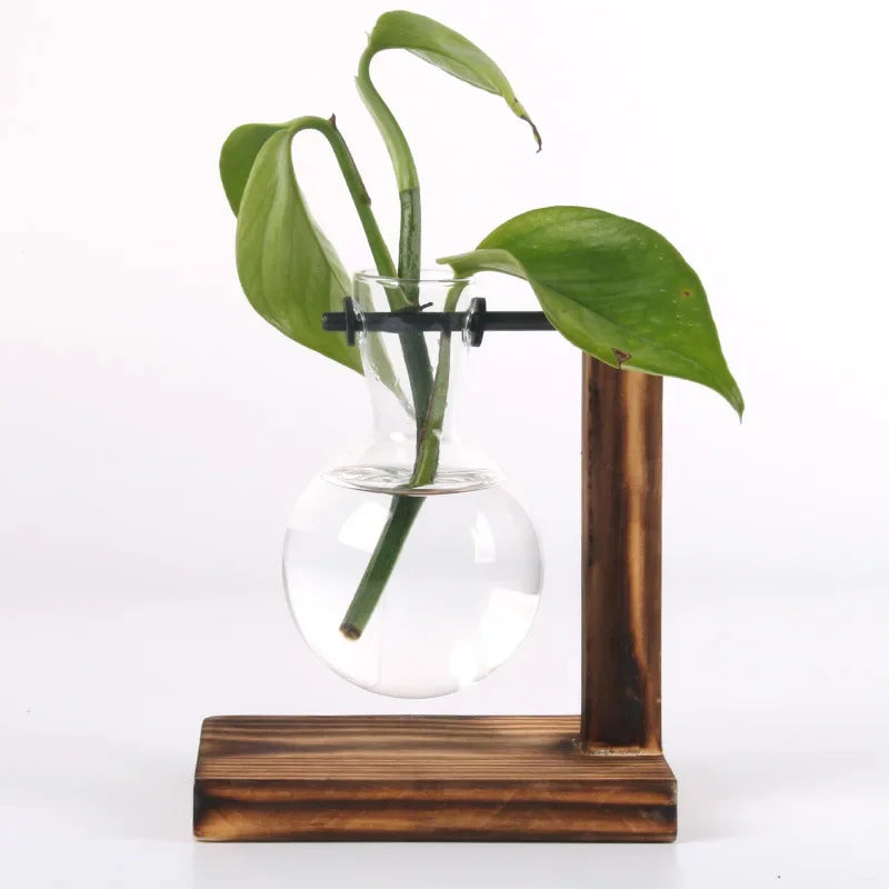 Terrário Hidropônico Elegance Decorelle