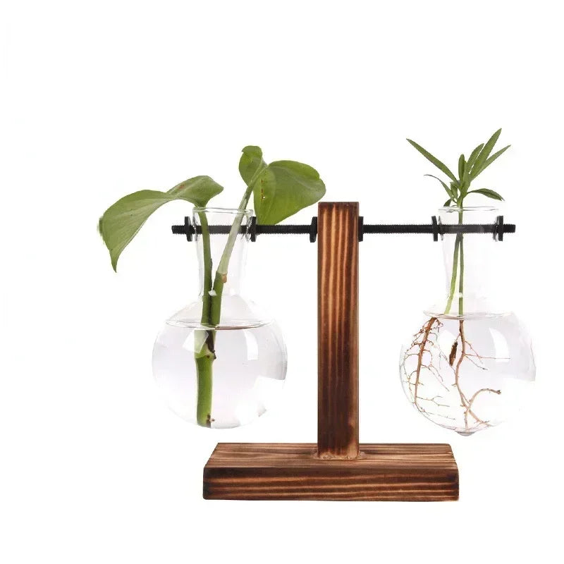 Terrário Hidropônico Elegance Decorelle