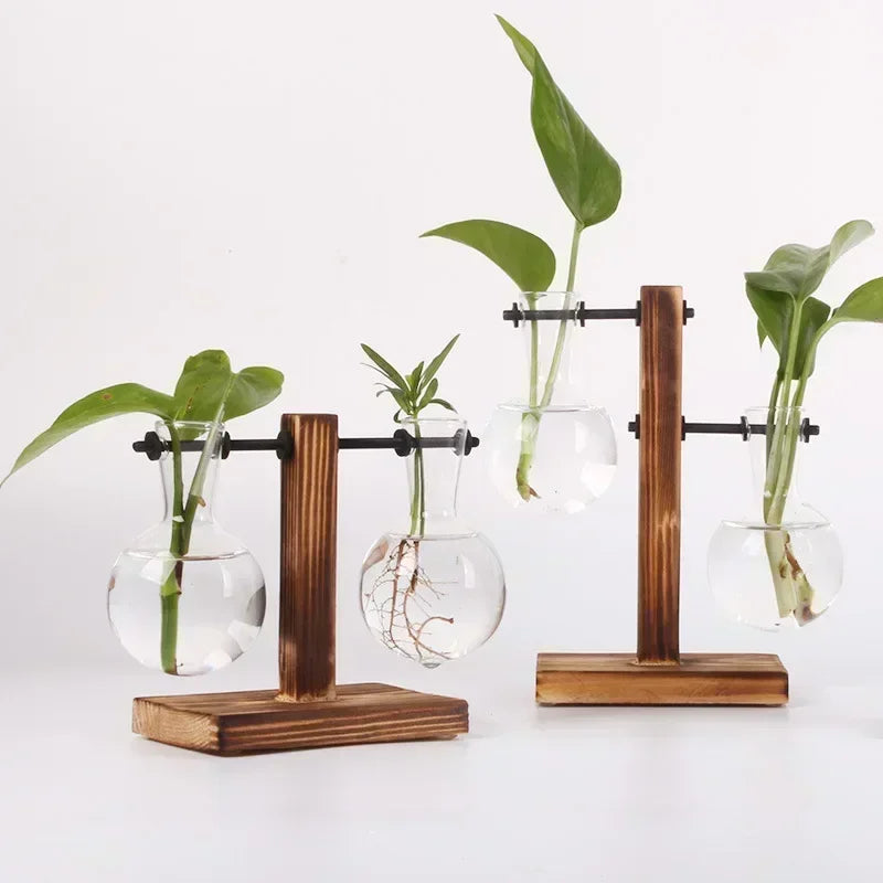 Terrário Hidropônico Elegance Decorelle