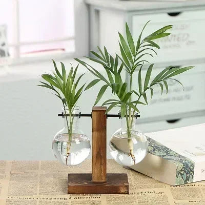 Terrário Hidropônico Elegance Decorelle
